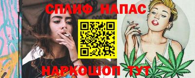 хмурый Кингисепп