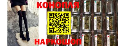 хмурый Кингисепп