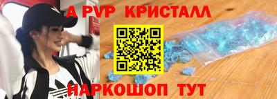 хмурый Кингисепп