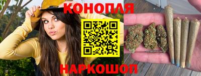 хмурый Кингисепп