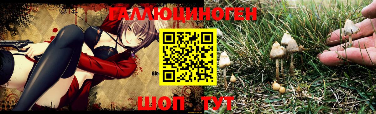Псилоцибиновые грибы мухоморы Ковров