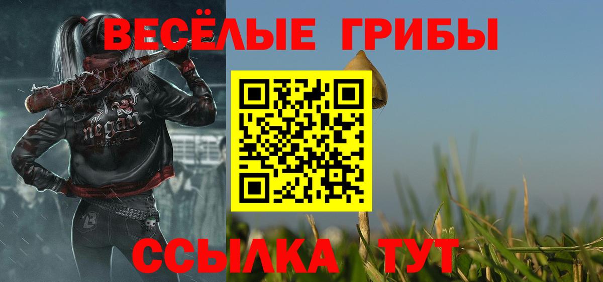 Псилоцибиновые грибы прущие грибы  Вход с VPN  Ковров  Галлюциногенные грибы Magic Shrooms 